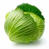 chinese fresh cabbage