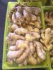 200g up dried ginger from china